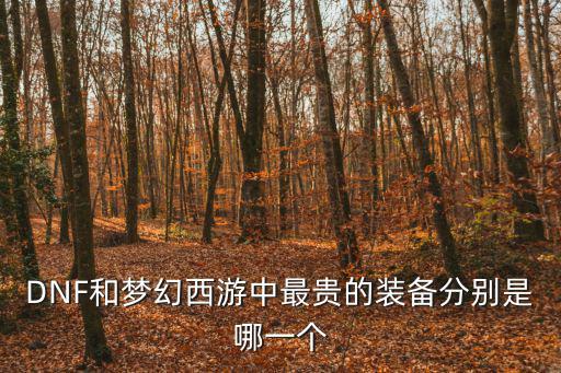dnf游戏装备值多少，DNF最贵装备前十排行是