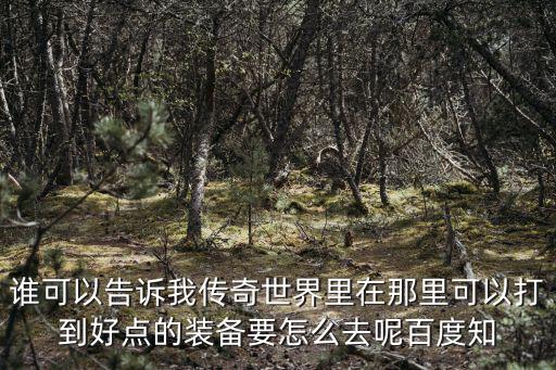 游戏装备哪里出的好看一点，求装备好看的单机游戏
