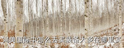 完美国际游戏装备哪里买，完美国际 50装备在哪买