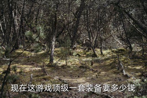 现在这游戏顶级一套装备要多少钱