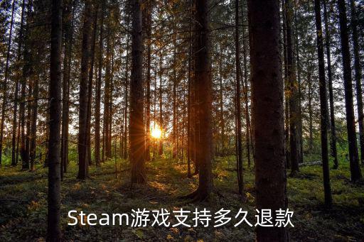 Steam游戏支持多久退款