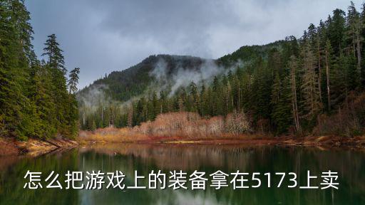怎么把游戏上的装备拿在5173上卖