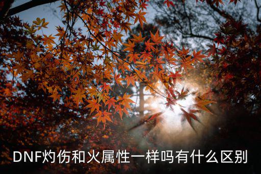 DNF灼伤和火属性一样吗有什么区别