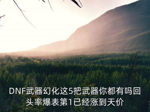 DNF武器幻化这5把武器你都有吗回头率爆表第1已经涨到天价