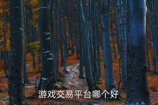 贵州买游戏装备去哪里好，谁知道现在贵州六盘水水城哪有卖电玩的地方啊比如PS2和PS2的游戏盘