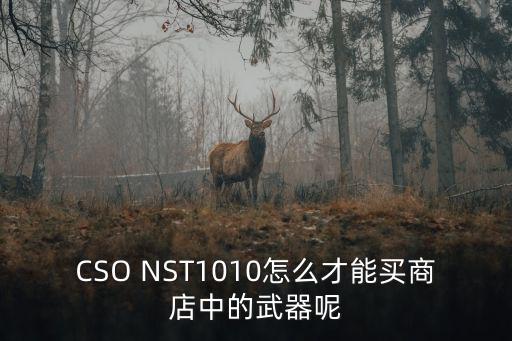 战术大师怎么买游戏装备，装备可以购买吗