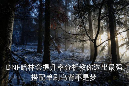 dnf鸟背什么属性好，dnf红眼怎么选择哈林史诗打鸟背