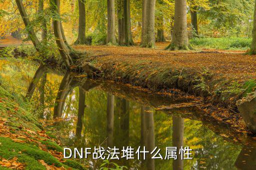 DNF战法堆什么属性