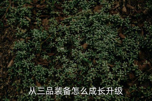 从三品装备怎么成长升级