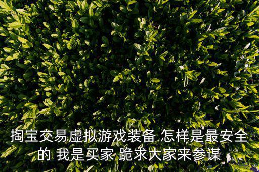 掏宝交易虚拟游戏装备 怎样是最安全的 我是买家 跪求大家来参谋