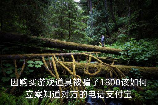 游戏装备诈骗怎么立案的，我的游戏装备被人骗了价值500元左右我知道是谁骗的请问一