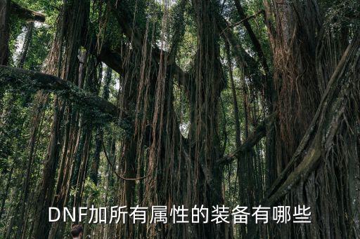 dnf换装加装备什么属性，dnf中有什么装备或消耗品能够加所有的属性