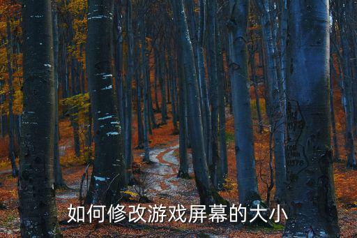 如何修改游戏屏幕的大小