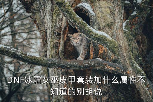 DNF冰霜女巫皮甲套装加什么属性不知道的别胡说