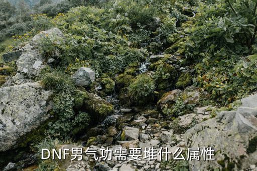 dnf 男气功走什么属性，DNF 男气功 是 物攻还是 魔攻