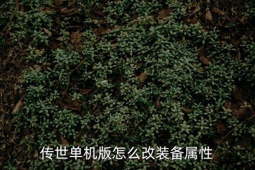 传世单机版怎么改装备属性