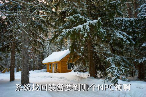 系统找回装备要到哪个NPC领啊