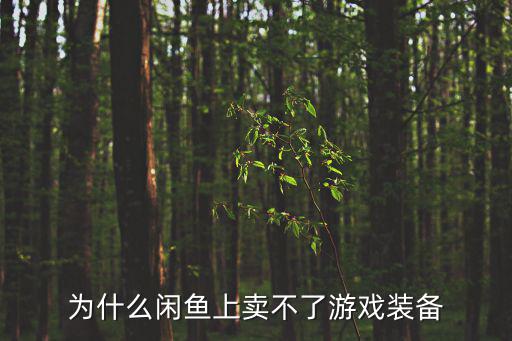 为什么闲鱼上卖不了游戏装备
