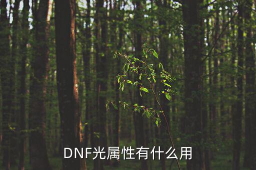 DNF光属性有什么用