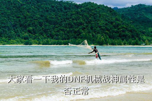 大家看一下我的DNF机械战神属性是否正常