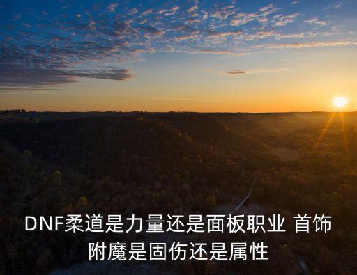 DNF柔道是力量还是面板职业 首饰附魔是固伤还是属性