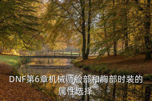DNF第6章机械师脸部和胸部时装的属性选择