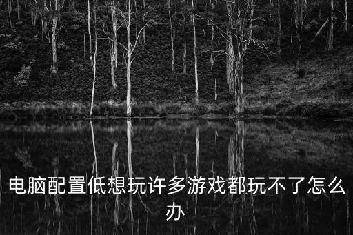 电脑配置低想玩许多游戏都玩不了怎么办
