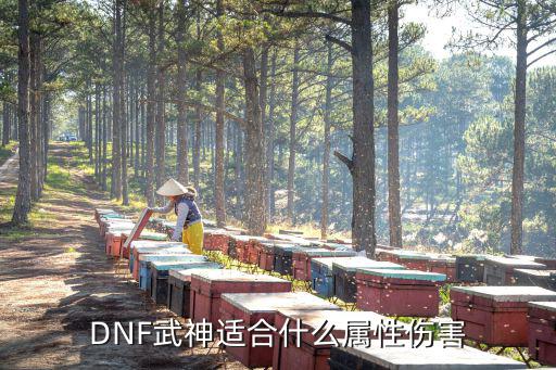 DNF武神适合什么属性伤害