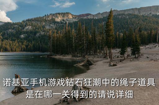 诺基亚手机游戏钻石狂潮中的绳子道具是在哪一关得到的请说详细