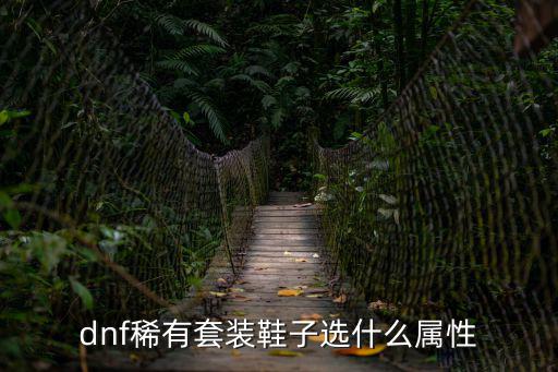 dnf稀有套装鞋子选什么属性