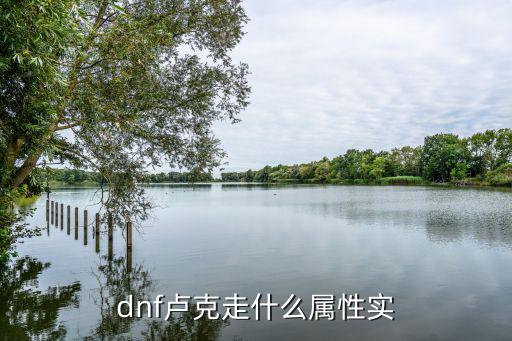 dnf卢克是什么属性，dnf卢克走什么属性实