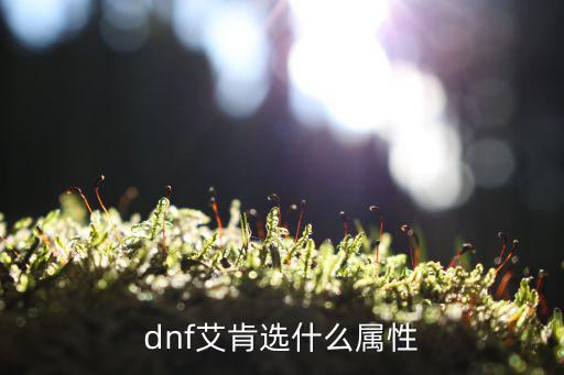 dnf艾肯手镯什么属性，DNF艾肯套装属性怎么选择 艾肯装备套装属性解析