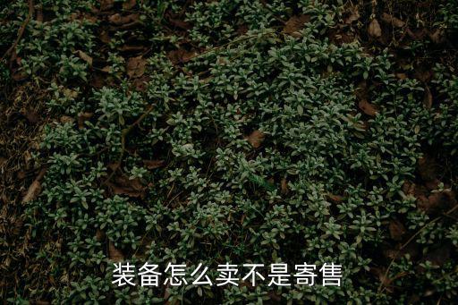 装备怎么卖不是寄售