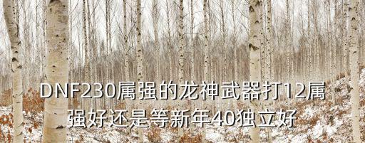 DNF230属强的龙神武器打12属强好还是等新年40独立好
