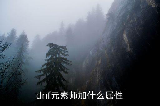 dnf元素师加什么属性