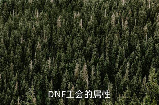 DNF工会的属性