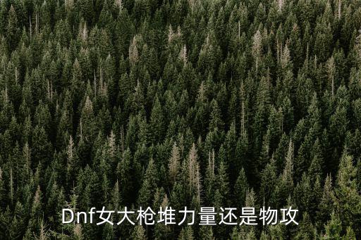 Dnf女大枪堆力量还是物攻