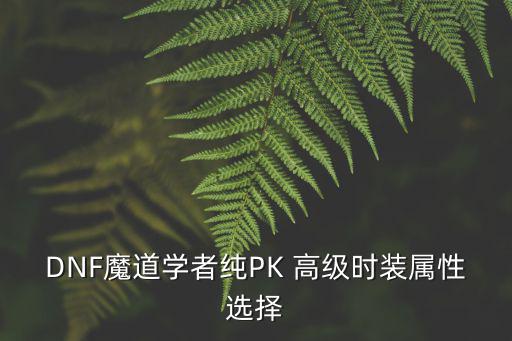 DNF魔道学者纯PK 高级时装属性选择