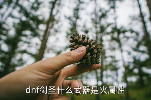 dnf剑圣什么武器是火属性