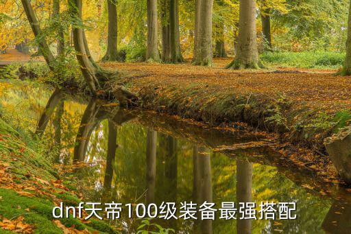 dnf天帝武器打什么属性，请问dnf天帝走什么属强
