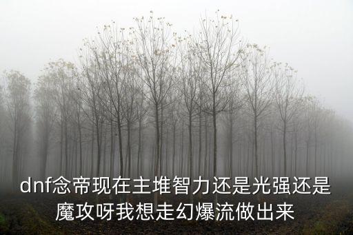 dnf念帝现在主堆智力还是光强还是魔攻呀我想走幻爆流做出来