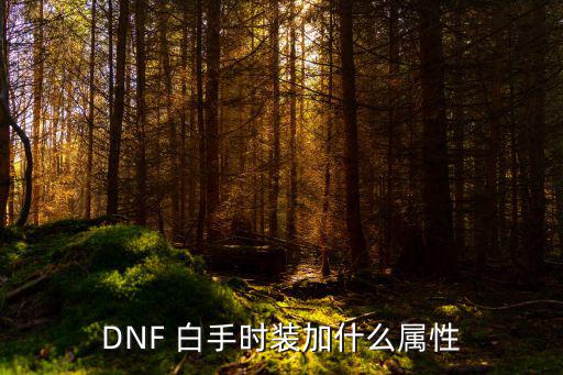 dnf白手时装要什么属性，白手时装该加哪些属性