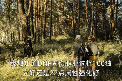 dnf固伤选择什么属性，我想知道DNF固伤职业选择100独立好还是22点属性强化好