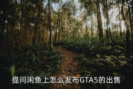 提问闲鱼上怎么发布GTA5的出售