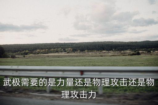 武极需要的是力量还是物理攻击还是物理攻击力
