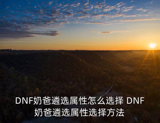 DNF奶爸遴选属性怎么选择 DNF奶爸遴选属性选择方法