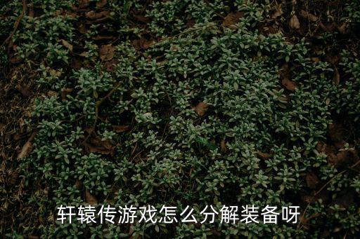 传奇游戏装备怎么拆解，轩辕传游戏怎么分解装备呀