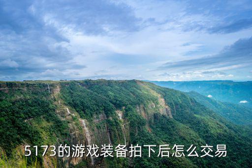 5173的游戏装备拍下后怎么交易