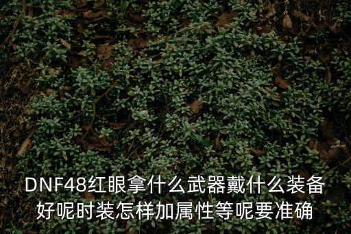 DNF48红眼拿什么武器戴什么装备好呢时装怎样加属性等呢要准确