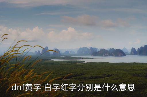 dnf红字属性指的是什么，都说红字装备到底指的是什么粉吗